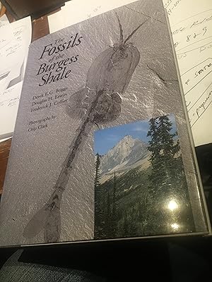 Image du vendeur pour The Fossils of the Burgess Shale. mis en vente par Bristlecone Books  RMABA