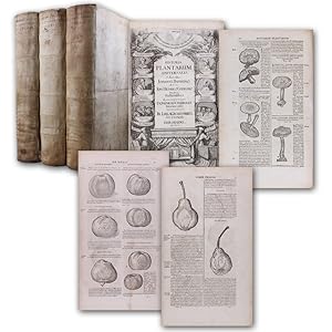 Historia plantarum universalis. 3 Bände.