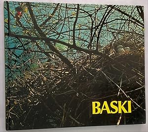 Imagen del vendedor de Baski Band 8 - Auf der Vogelinsel a la venta por Antiquariat UPP