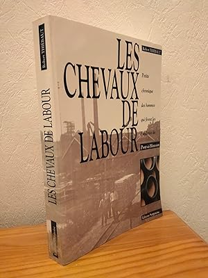 Les Chevaux de labour: Petite chronique des hommes qui firent les fonderies de Pont-à-Mousson