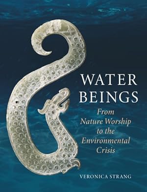 Imagen del vendedor de Water Beings : From Nature Worship to the Environmental Crisis a la venta por GreatBookPrices