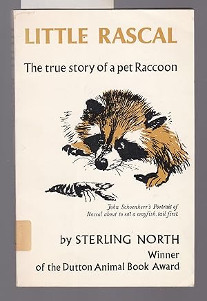 Seller image for Little Rascal - The True Story of a Pet Racoon for sale by Laura Books