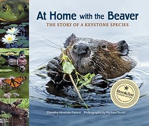 Imagen del vendedor de At Home With the Beaver : A Story of a Keystone Species a la venta por GreatBookPrices