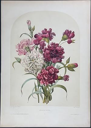 Floral Bouquet - Carnation