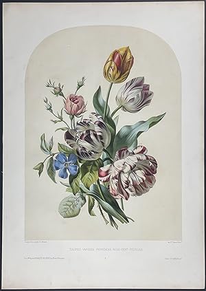 Image du vendeur pour Floral Bouquet - Rose, Tulip mis en vente par Trillium Antique Prints & Rare Books