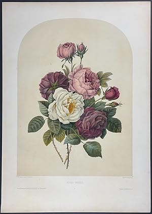 Image du vendeur pour Floral Bouquet - Rose mis en vente par Trillium Antique Prints & Rare Books
