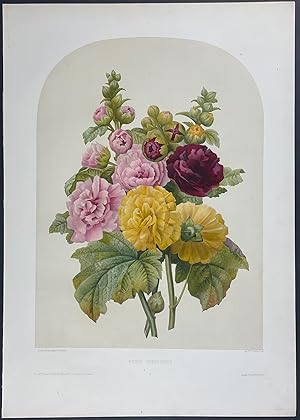 Image du vendeur pour Floral Bouquet - Rose mis en vente par Trillium Antique Prints & Rare Books