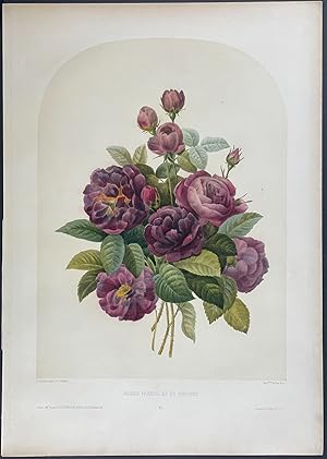 Image du vendeur pour Floral Bouquet - Rose mis en vente par Trillium Antique Prints & Rare Books