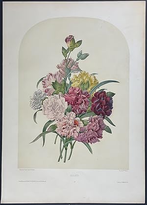 Floral Bouquet - Carnation
