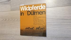 Bild des Verkufers fr Wildpferde in Dlmen : Pferde, wie sie wirklich leben zum Verkauf von Gebrauchtbcherlogistik  H.J. Lauterbach