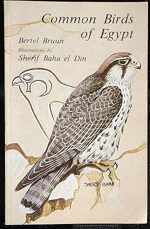 Seller image for Common Birds of Egypt for sale by Shore Books