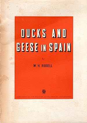 Ducks and Geese in Spain