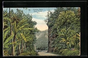 Postcard Puerto Rico, Arecibo-Ponce Road