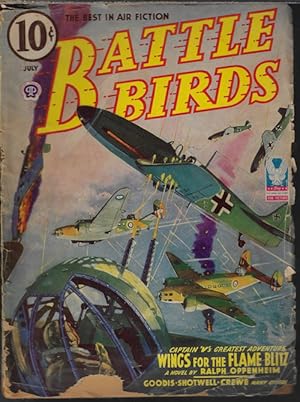Immagine del venditore per BATTLE BIRDS: July 1943 venduto da Books from the Crypt