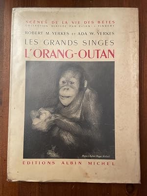 Seller image for Les grands singes - L'Orang-Outan for sale by Librairie des Possibles