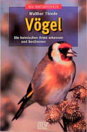 Seller image for Vgel Die heimischen Arten erkennen und bestimmen for sale by antiquariat rotschildt, Per Jendryschik