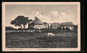 Bild des Verkufers fr Ansichtskarte Keitum auf Sylt, Friesen-Ansicht zum Verkauf von Bartko-Reher