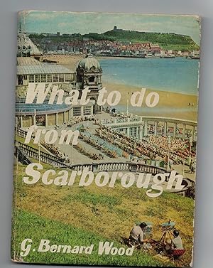 What to Do from Scarborough