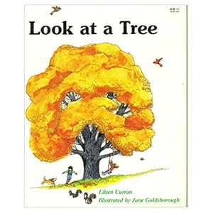 Imagen del vendedor de Look at a Tree (Paperback) by Eileen Curran a la venta por InventoryMasters