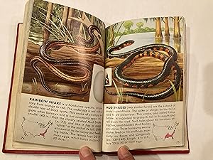 Imagen del vendedor de REPTILES AND AMPHIBIANS, A GUIDE TO FAMILIAR AMERICAN SPECIES: 212 Species in Full Color a la venta por Paul Gritis Books