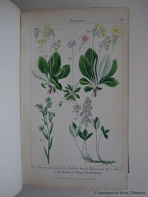 Flora Prussica.