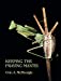 Seller image for Keeping the Praying Mantis: Mantodean Captive Biology, Reproduction, and Husbandry [Hardcover ] for sale by booksXpress