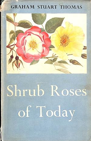 Seller image for Shrub Roses Of Today. for sale by M Godding Books Ltd