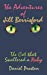 Bild des Verkufers fr The Adventures of Jill Berrisford: The Cat that Swallered a Ruby [Soft Cover ] zum Verkauf von booksXpress