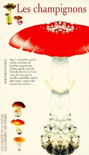 Les champignons - Bernard Duhem
