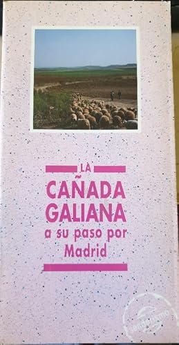 LA CAÑADA GALIANA A SU PASO POR MADRID.