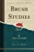 Imagen del vendedor de Brush Studies (Classic Reprint) [Soft Cover ] a la venta por booksXpress