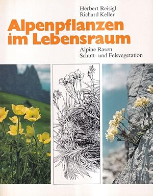 Alpenpflanzen im Lebensraum