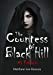 Bild des Verkufers fr The Countess of Black Hill: #1 Fallen [Soft Cover ] zum Verkauf von booksXpress