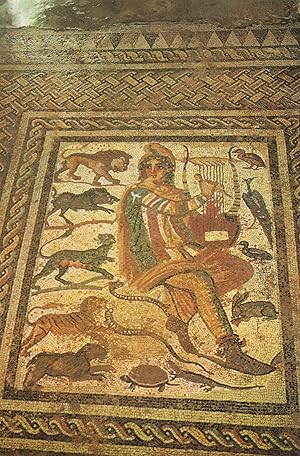 Spartan Mosaic Floor Orpheus Greek Greece Museum Postcard