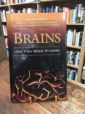 Seller image for Brains: How They Seem to Work for sale by Encore Books