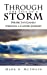 Bild des Verkufers fr Through the Eyes of a Storm: Perspective Gained Through a Cancer Journey [Soft Cover ] zum Verkauf von booksXpress