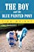 Seller image for The Boy and the Blue Painted Pony [Soft Cover ] for sale by booksXpress