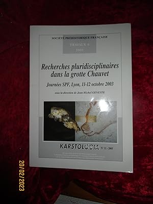 Seller image for Socit Prhistorique Franaise TRAVAUX 6 - 2005 - RECHERCHES PLURIDISCIPLINAIRES dans la GROTTE CHAUVET - Journes SPF , LYON 11-12 OCTOBRE 2003 for sale by LA FRANCE GALANTE