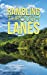 Seller image for RAMBLING THROUGH LANES [Soft Cover ] for sale by booksXpress