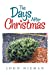 Seller image for The Days After Christmas [Soft Cover ] for sale by booksXpress