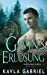 Seller image for Gavin's Erlosung (Red Lodge Baren) (German Edition) [Soft Cover ] for sale by booksXpress