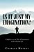 Immagine del venditore per Is It Just My Imagination?: A Reflection on the Place of Imagination in the Christian Life [Soft Cover ] venduto da booksXpress