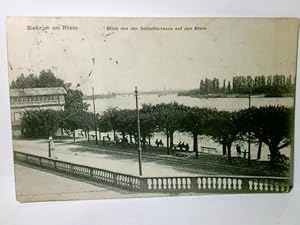 Bild des Verkufers fr Biebrich am Rhein. Blick von der Schloterrasse auf den Rhein. Alte Ansichtskarte s/w, gel. um 1906. Parkanlage, Personen. zum Verkauf von ABC Versand e.K.