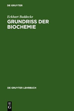 Seller image for Grundriss der Biochemie for sale by BuchWeltWeit Ludwig Meier e.K.