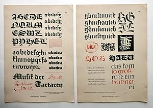 Das Schriftschaffen der Gegenwart in Alphabeten und Anwendungen. In Verbindung mit Albert Bruckne...