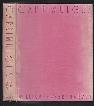 Caprimulgus