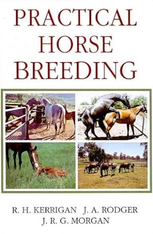 Image du vendeur pour Practical Horse Breeding mis en vente par WeBuyBooks
