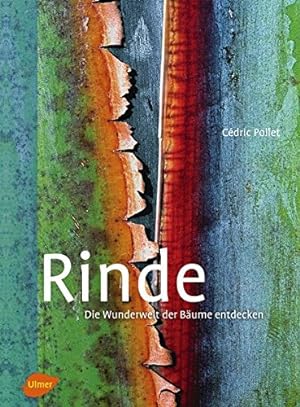 Image du vendeur pour Rinde: Die Wunderwelt der Bume entdecken mis en vente par BuchKaffee Vividus e.K.