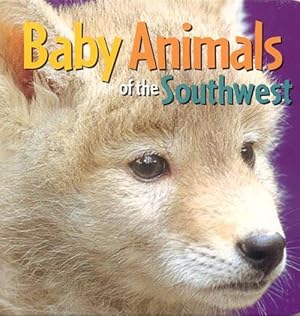 Seller image for Baby Animals of the Southwest (Board Book) for sale by Grand Eagle Retail