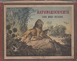 Naturgeschichte der drei Reiche Ein Bilderbuch für artige Kinder